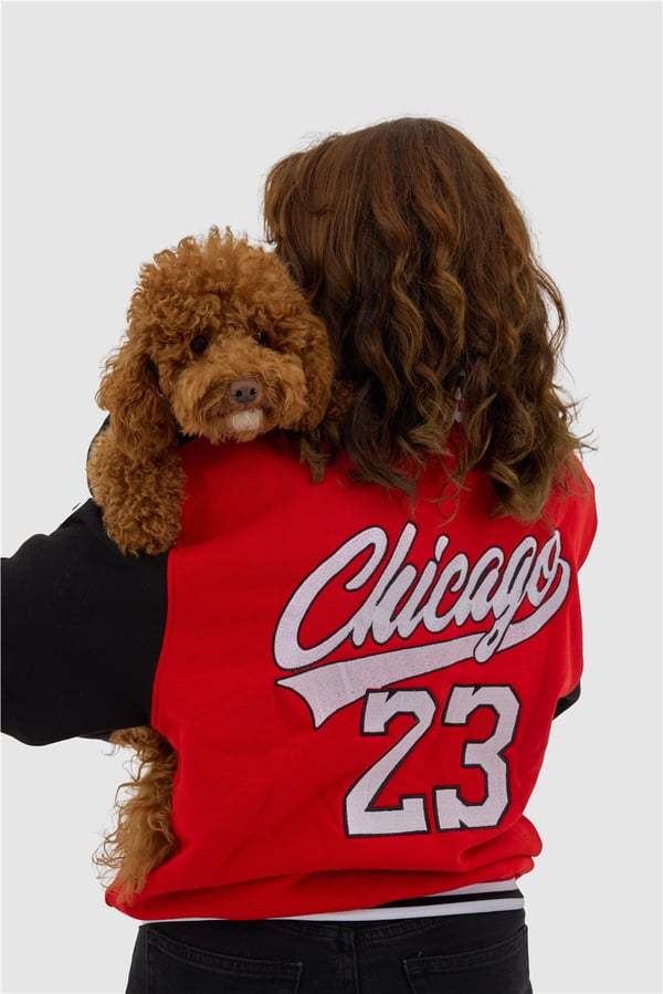 Kırmızı Chicago Kolej Ceket Yetişkin Kırmızı