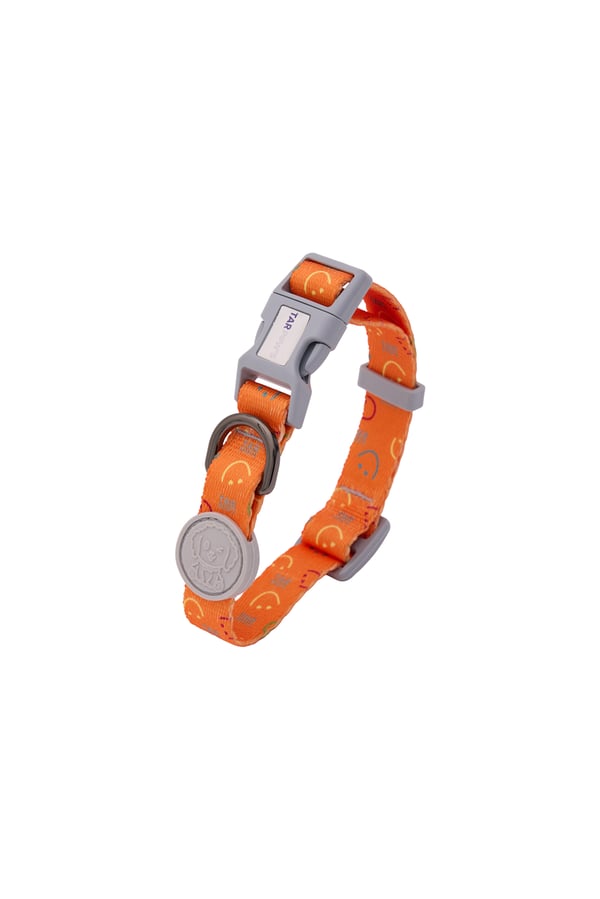 Lava Glow Boyun Tasması Gri