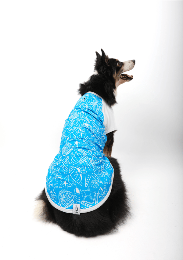 Ocean Breeze T-Shirt Mavi