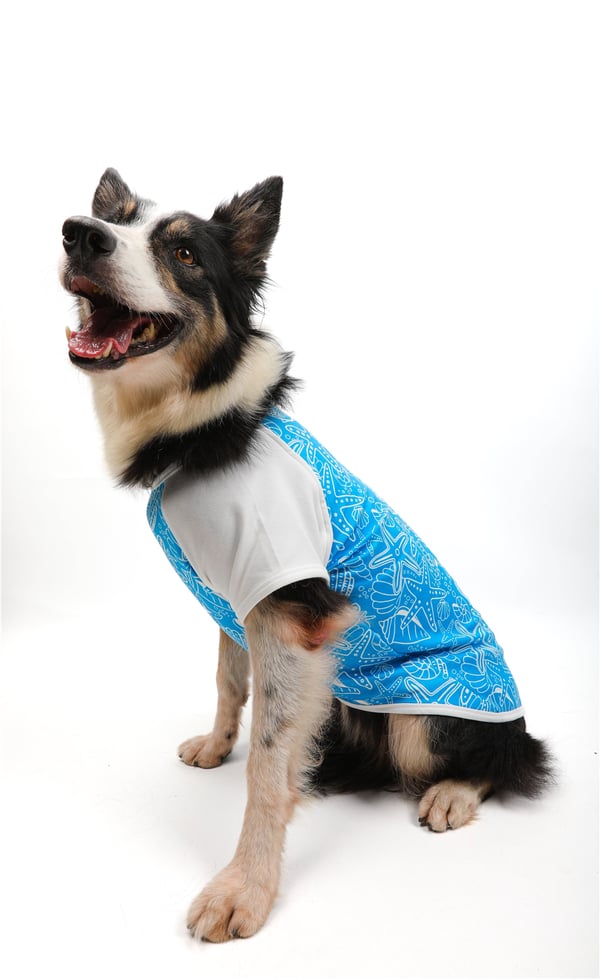 Ocean Breeze T-Shirt Mavi