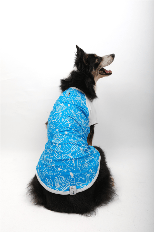 Ocean Breeze T-Shirt Mavi
