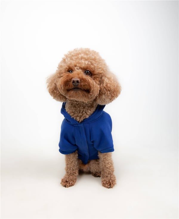 Only Blue Kapüşonlu Sweatshirt Mavi