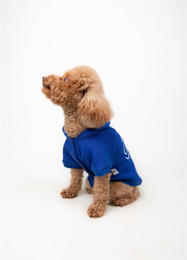 Only Blue Kapüşonlu Sweatshirt Mavi