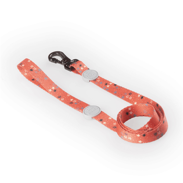 Orange Star Boyun Tasması Gri