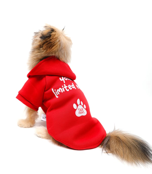 Red Limited Kapüşonlu Sweatshirt Kırmızı