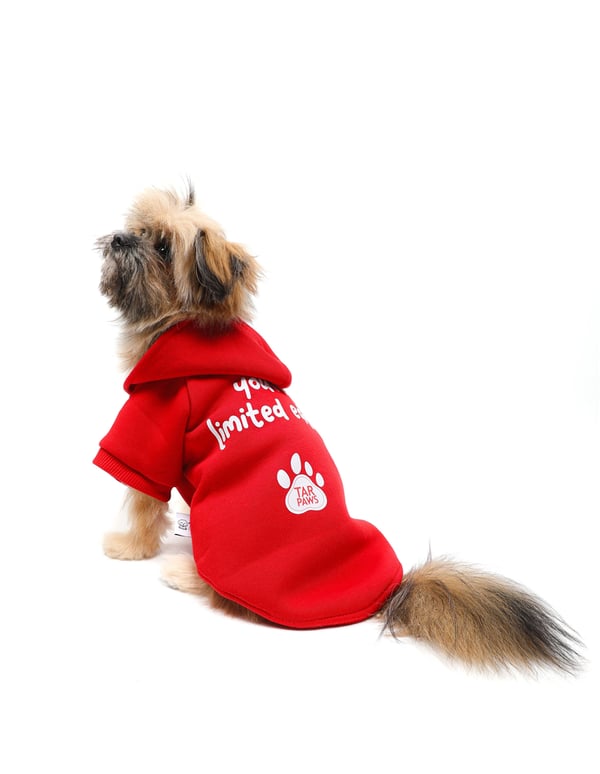 Red Limited Kapüşonlu Sweatshirt Kırmızı