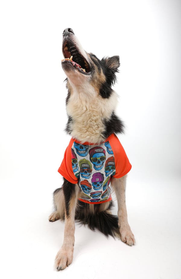 Skull T-Shirt Turuncu