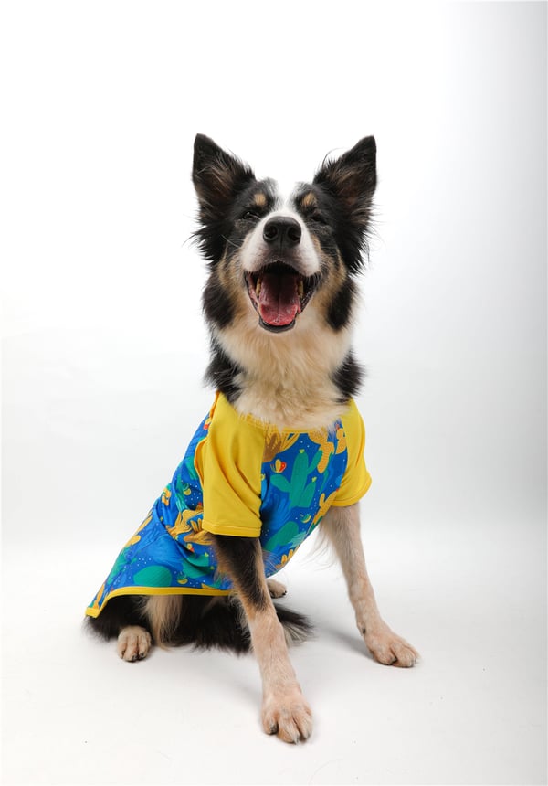 Spiky Tails T-Shirt Mavi