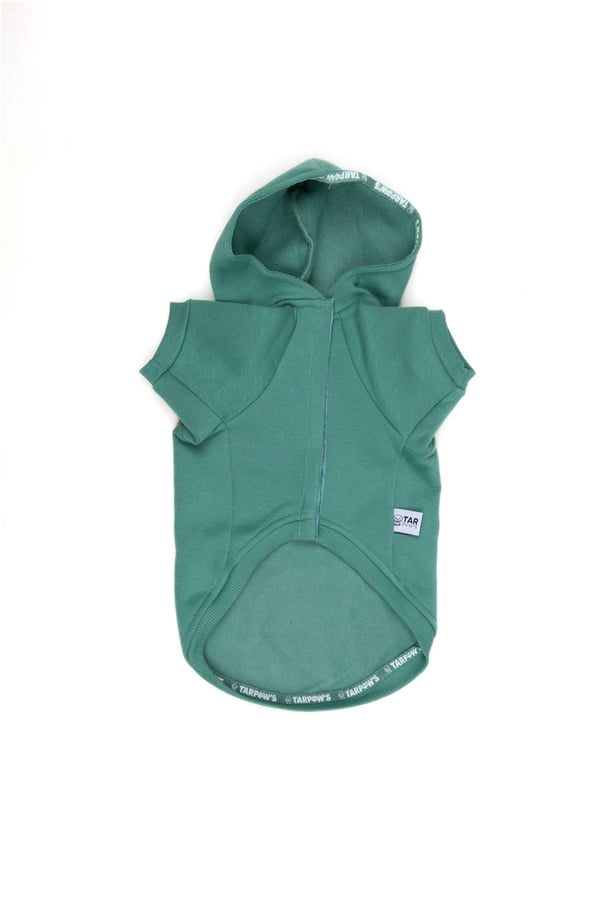 Trpws 34 Kapüşonlu Sweatshirt Mint Yeşil