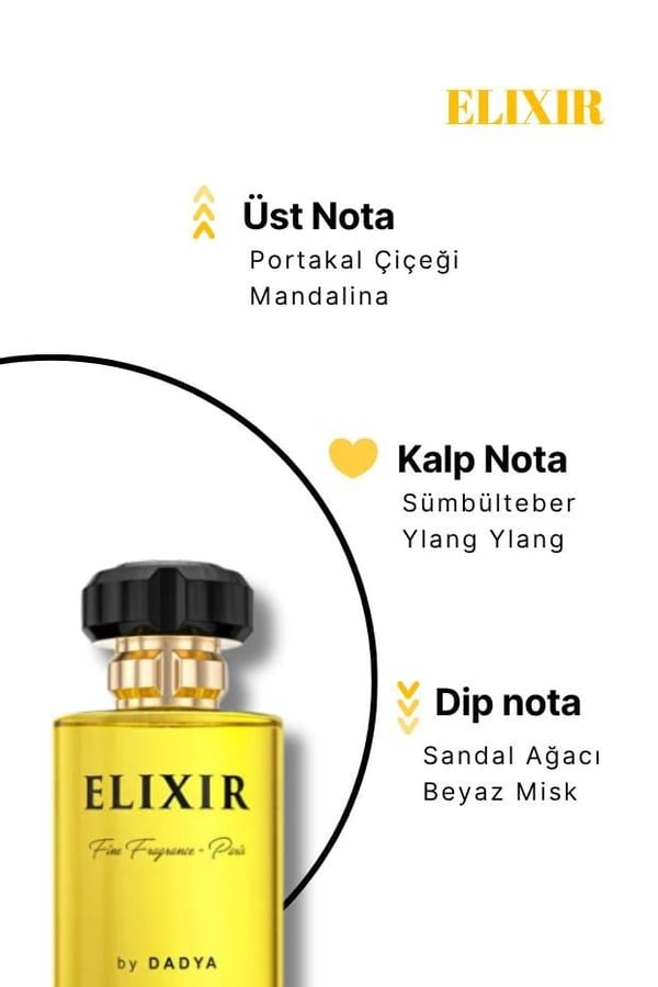 ELIXIR