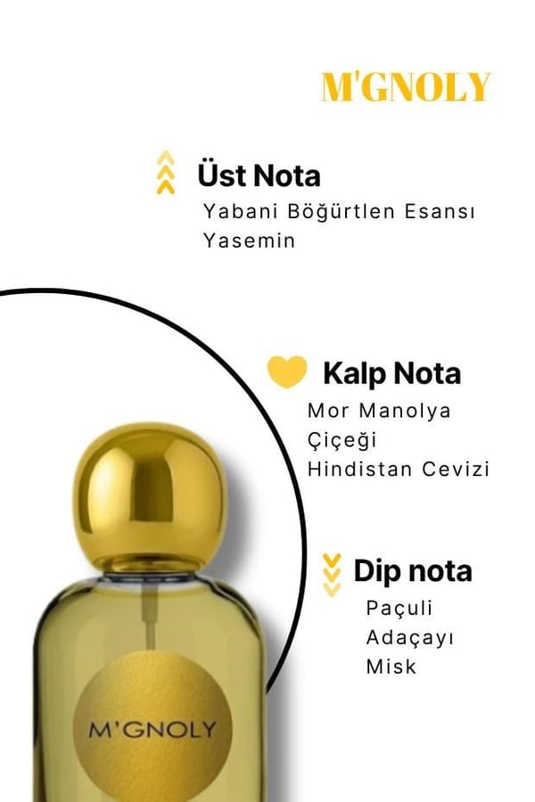 M'GNOLY GOLD SERİSİ