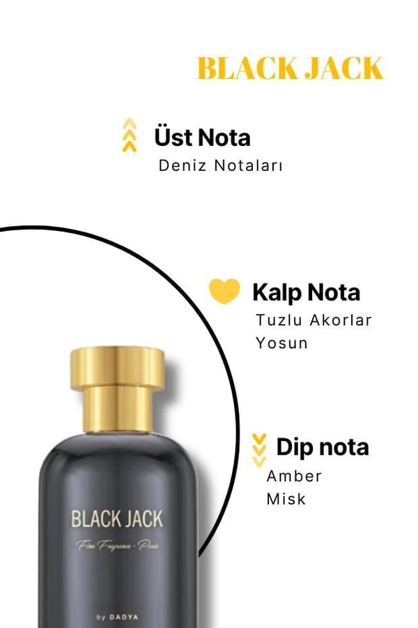 NICHE SERIES BLACK JACK