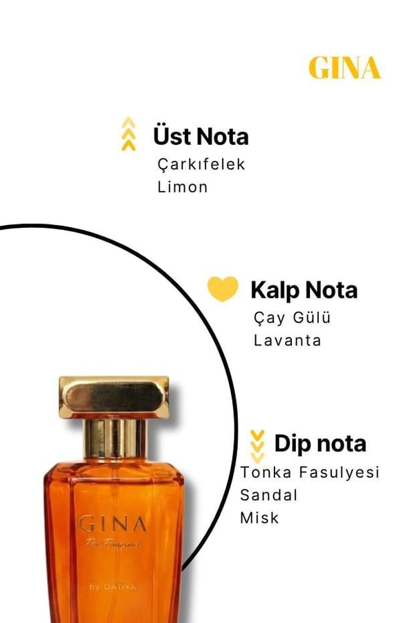Nıche Serıes Gına (UNİSEX) 100 ml