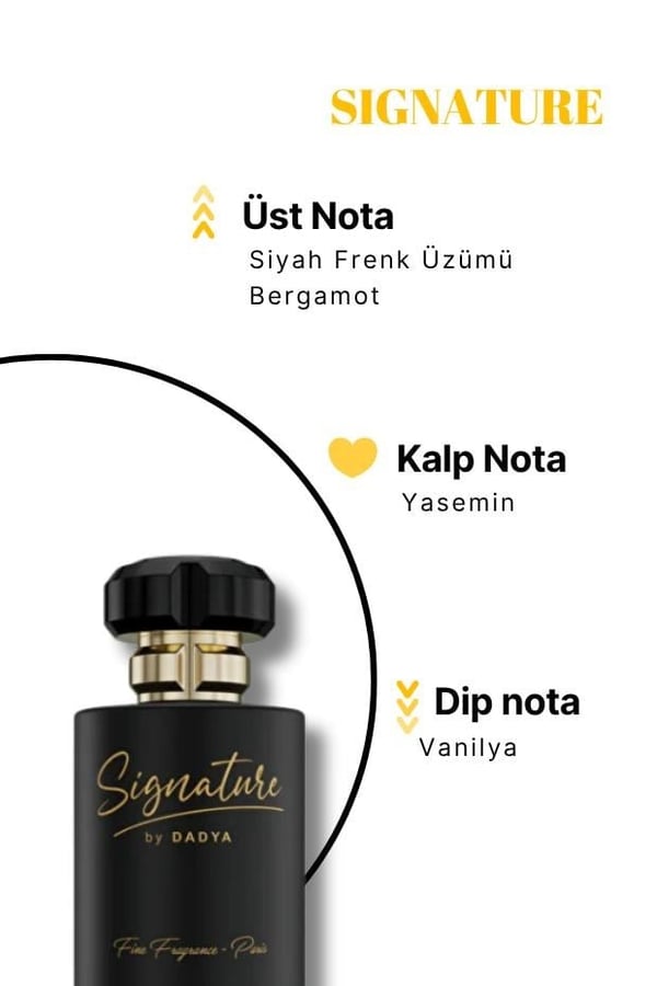 Sıgnature Nıche Serıes