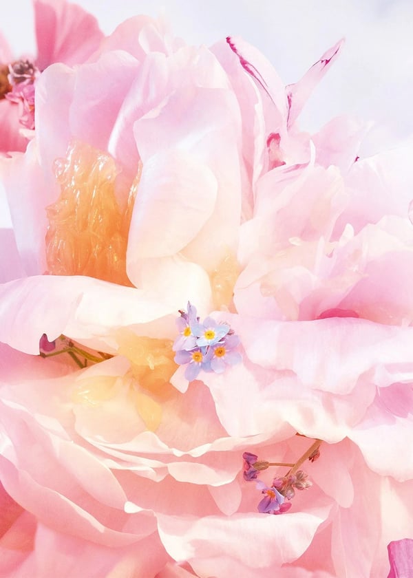 Dior Miss Blooming Bouquette Eau De Toilette 100 ml