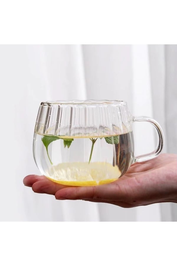 400 ML Çift Çidarlı Kulplu Şık Desenli Cam Bardak