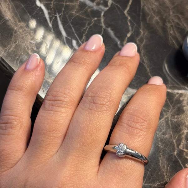 Silver Embrace Ring