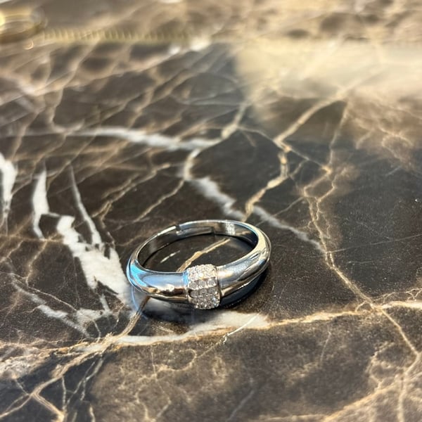 Silver Embrace Ring