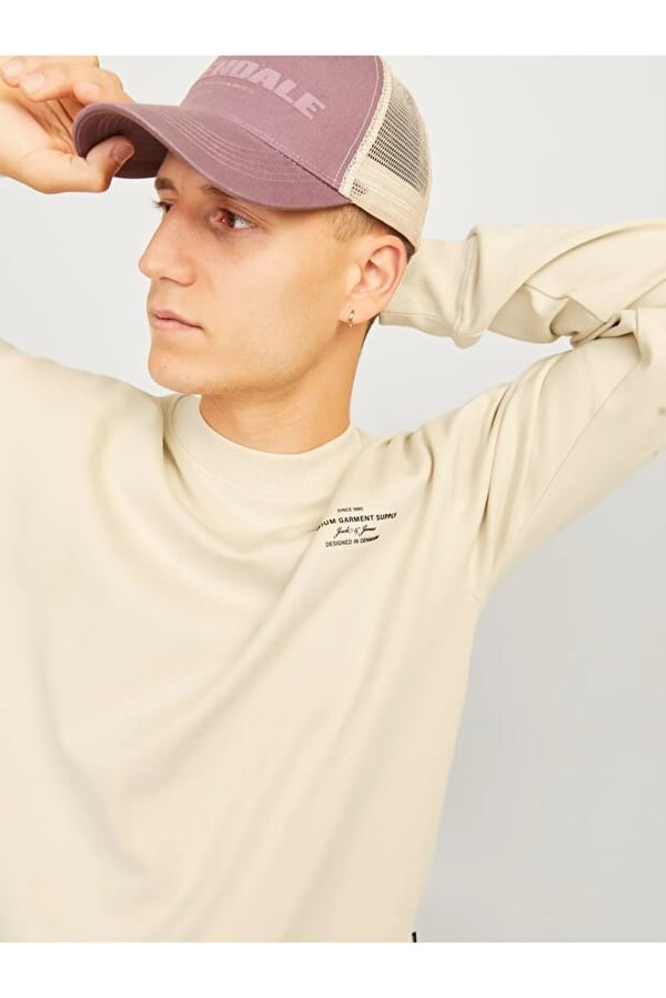 Jack&Jones JPRBLACHAD BRANDING SWEAT CREW NECK LN Bej Erkek Sweatshirt