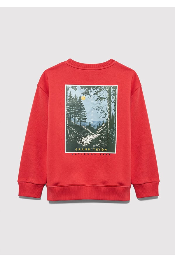 Mavi NATURE ROAMS ON BASKILI SWEATSHIRT Chrys Kırmızı Erkek Çocuk Sweatshirt