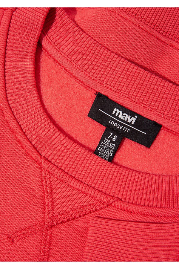 Mavi NATURE ROAMS ON BASKILI SWEATSHIRT Chrys Kırmızı Erkek Çocuk Sweatshirt