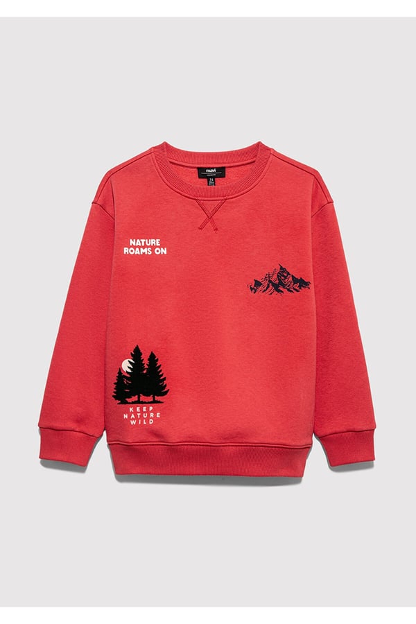 Mavi NATURE ROAMS ON BASKILI SWEATSHIRT Chrys Kırmızı Erkek Çocuk Sweatshirt