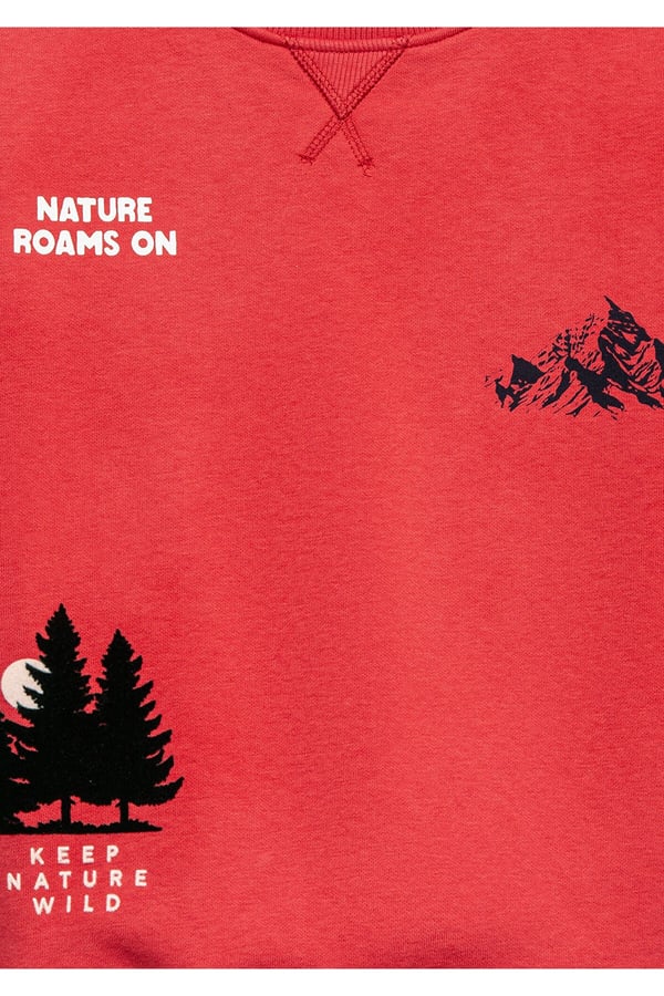 Mavi NATURE ROAMS ON BASKILI SWEATSHIRT Chrys Kırmızı Erkek Çocuk Sweatshirt
