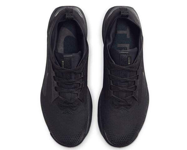 Nike NIKE PEGASUS TRAIL 5 GTX Siyah Erkek Koşu Ayakkabısı