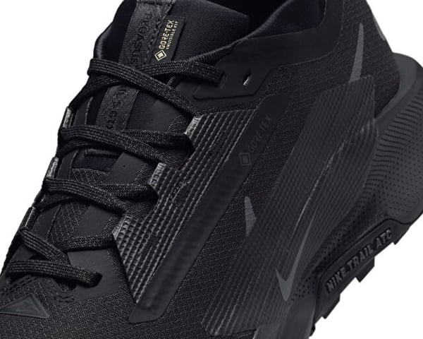 Nike NIKE PEGASUS TRAIL 5 GTX Siyah Erkek Koşu Ayakkabısı