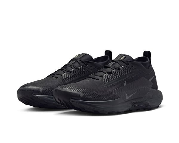 Nike NIKE PEGASUS TRAIL 5 GTX Siyah Erkek Koşu Ayakkabısı