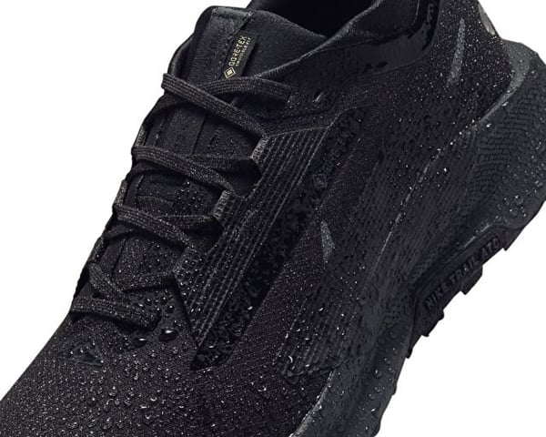 Nike NIKE PEGASUS TRAIL 5 GTX Siyah Erkek Koşu Ayakkabısı