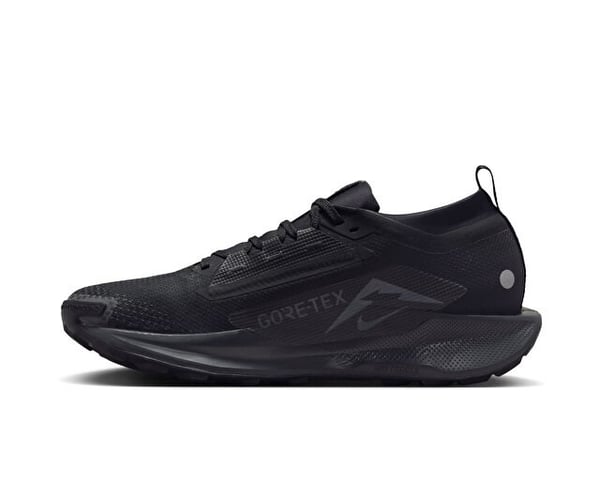 Nike NIKE PEGASUS TRAIL 5 GTX Siyah Erkek Koşu Ayakkabısı