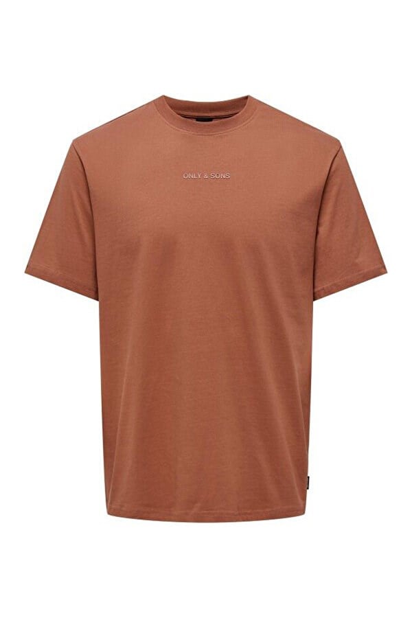 Only&Sons ONSLEVI LIFE REG TEXT SS TEE Pudra Erkek T-Shirt