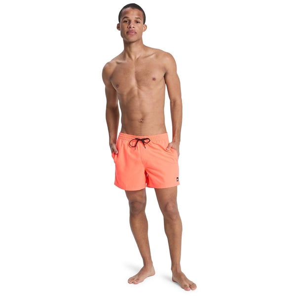 Quiksilver EVERYDAY SOLID VOLLEY 15 Pudra Erkek Şort
