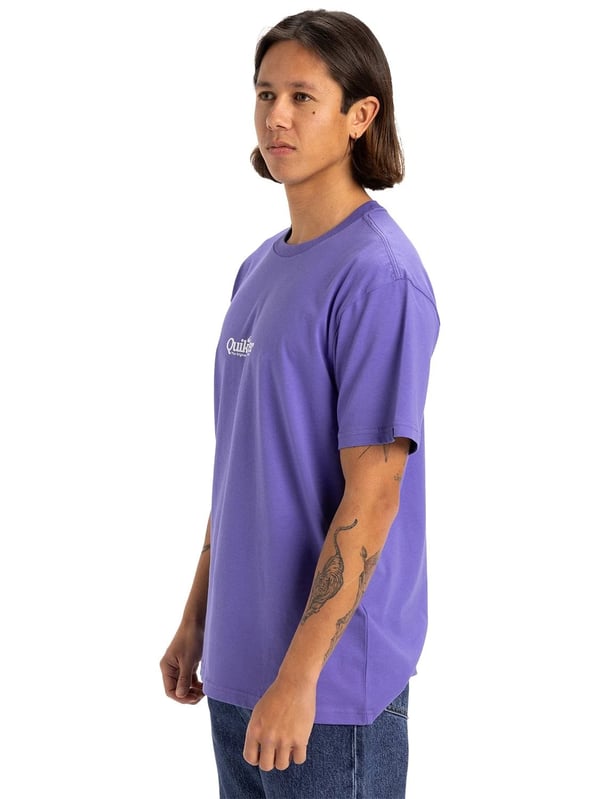 Quiksilver FINELINE SS Mor Erkek T-Shirt