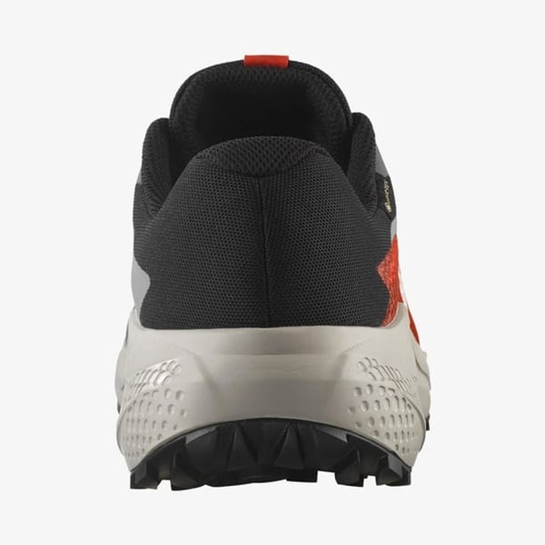Salomon ALPHAGLIDE GORE-TEX Gri Erkek Koşu Ayakkabısı