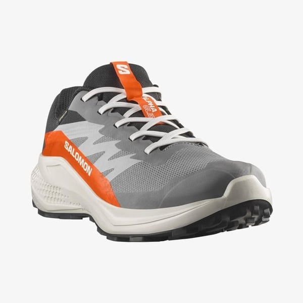 Salomon ALPHAGLIDE GORE-TEX Gri Erkek Koşu Ayakkabısı