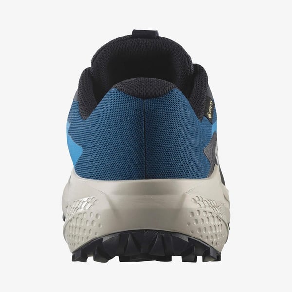 Salomon ALPHAGLIDE GORE-TEX Mavi Erkek Koşu Ayakkabısı