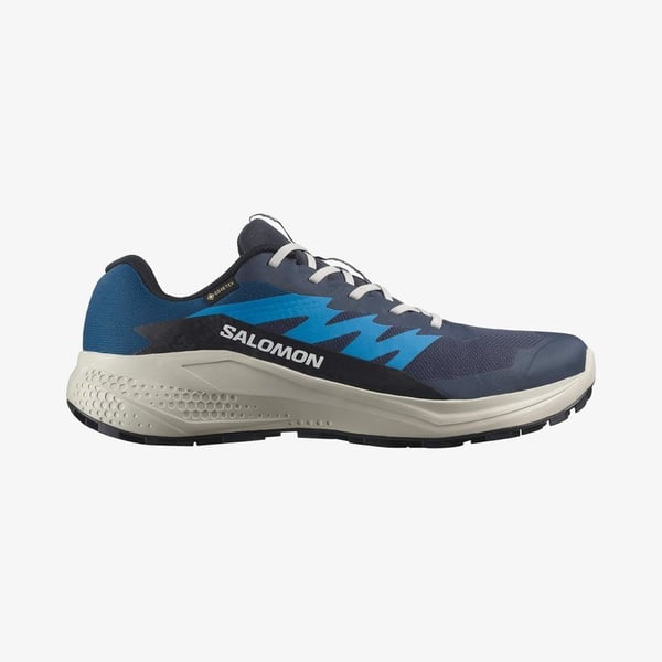 Salomon ALPHAGLIDE GORE-TEX Mavi Erkek Koşu Ayakkabısı