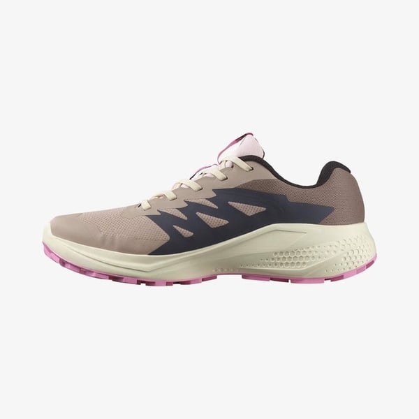 Salomon ALPHAGLIDE GORE-TEX Pudra Kadın Koşu Ayakkabısı
