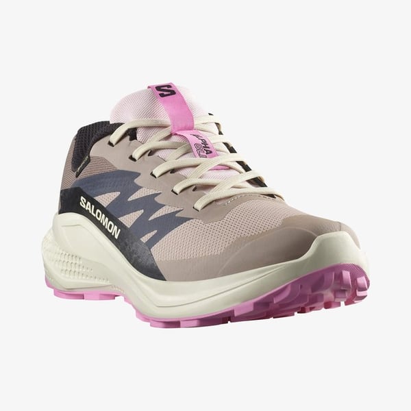 Salomon ALPHAGLIDE GORE-TEX Pudra Kadın Koşu Ayakkabısı