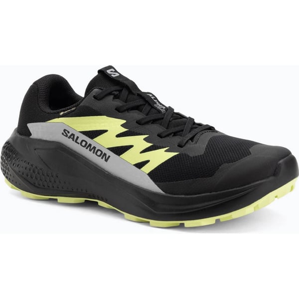 Salomon ALPHAGLIDE GORE-TEX Siyah Erkek Koşu Ayakkabısı