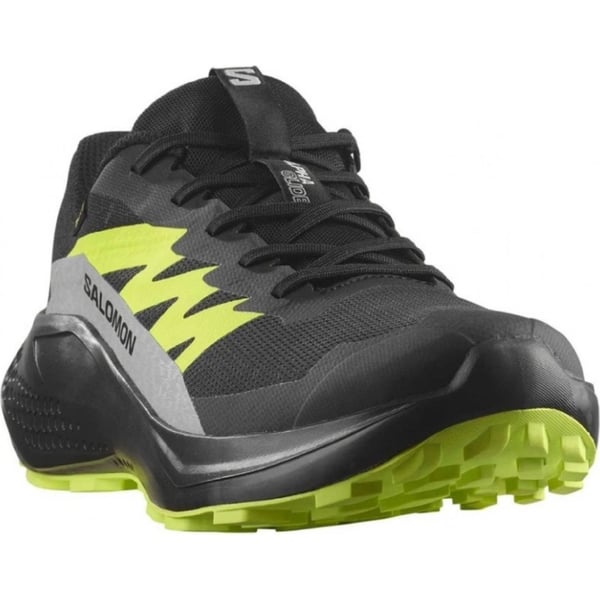 Salomon ALPHAGLIDE GORE-TEX Siyah Erkek Koşu Ayakkabısı