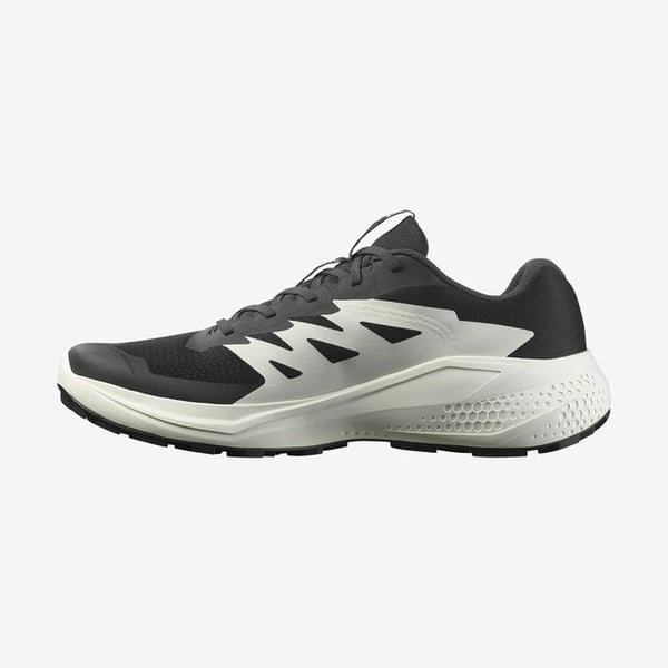 Salomon ALPHAGLIDE Siyah Erkek Koşu Ayakkabısı