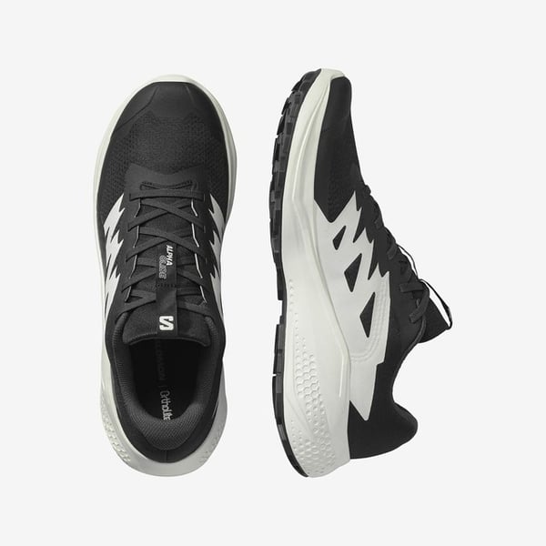 Salomon ALPHAGLIDE Siyah Erkek Koşu Ayakkabısı