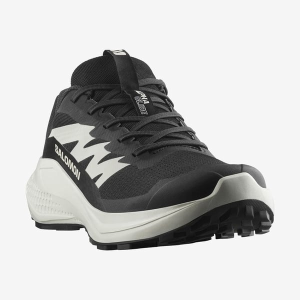 Salomon ALPHAGLIDE Siyah Erkek Koşu Ayakkabısı