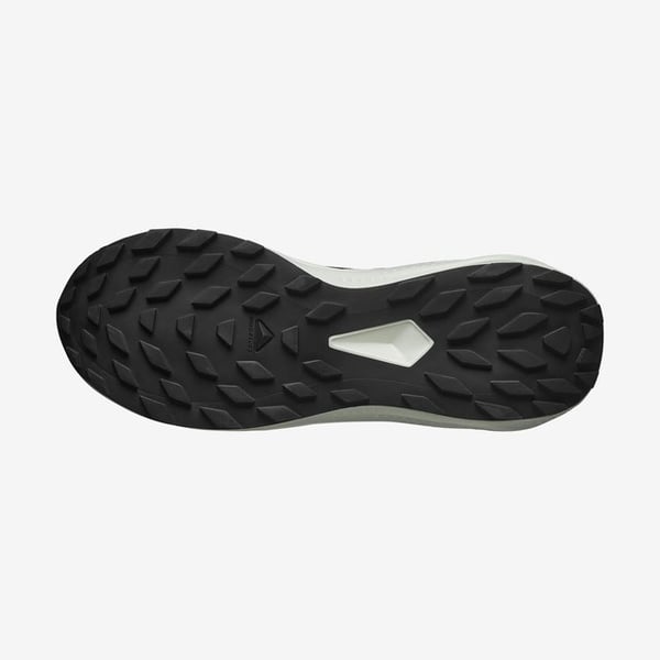 Salomon ALPHAGLIDE Siyah Erkek Koşu Ayakkabısı