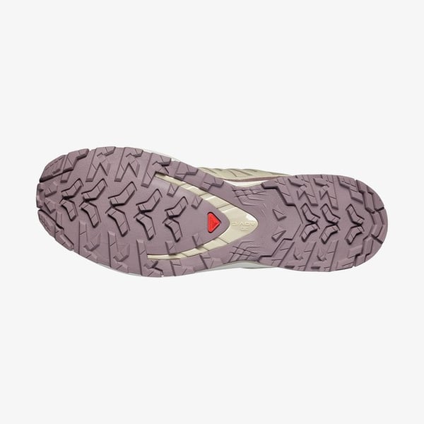 Salomon XA PRO 3D V9 LIFELONG M Bej Erkek Outdoor Ayakkabı