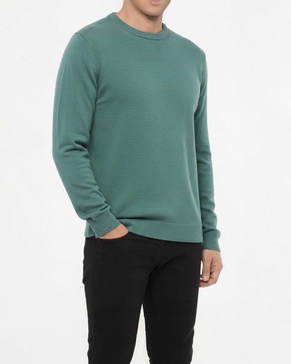 İtalyan stil slim fit erkek bisiklet yaka triko kazak yeşil T13128
