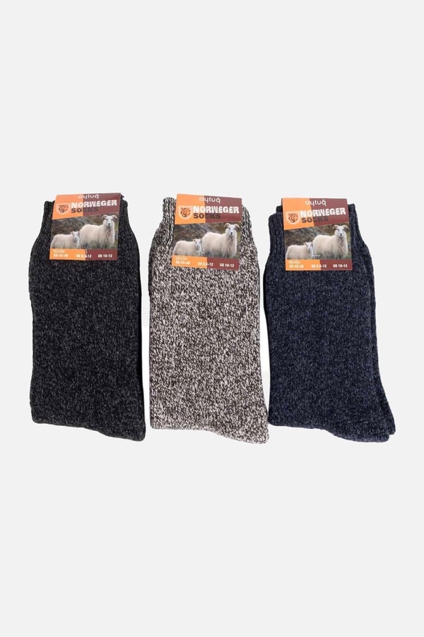Aytuğ Erkek Norweger Merino Yünü Kışlık 3'lü Soket Bot Çorabı Çok Renki
